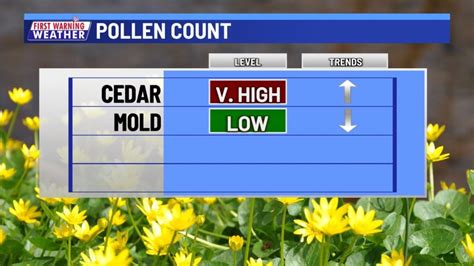 pollen count conroe|tree pollen in texas.